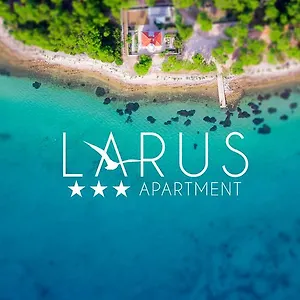 Larus Vir